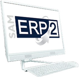 Erp 2